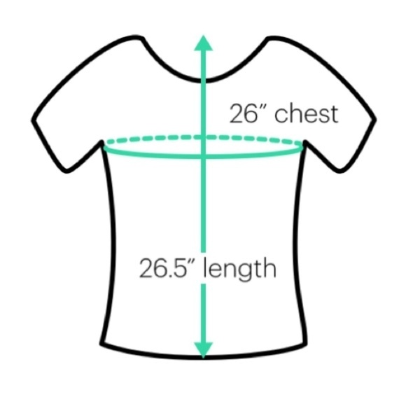 INC International Concepts women’s Small Short Sleeve Top taupe small - Picture 3 of 4